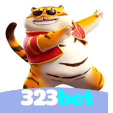 323bet：Jogue nas slots e viva a emoção das grandes vitórias!